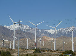 BLM failed to collect adequate bonds for Palm Springs wind projects_1