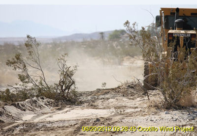 ocotillo sand