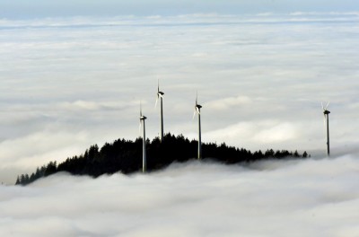 Many Germans have a strong attachment to their forests and worry that chopping down huge parts of them to house wind farms isn't worth the benefits they return or the loss in beauty and tranquility.